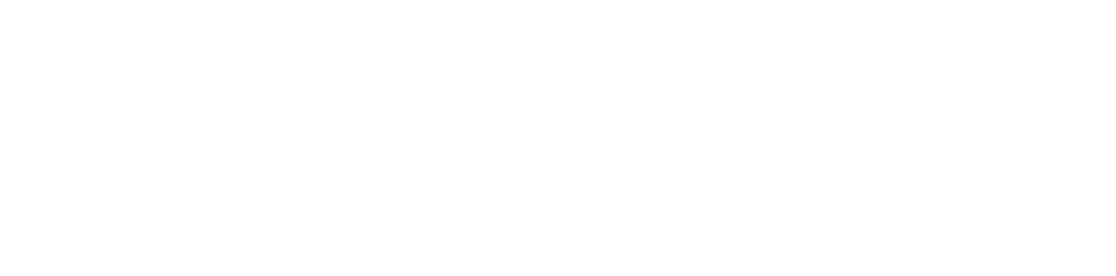 BestWay Italia